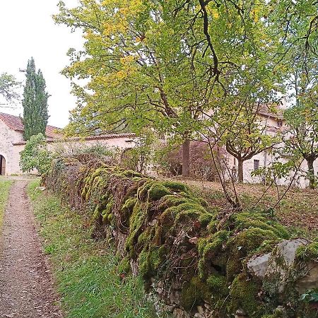 Les Granges De L Abbaye Bed and Breakfast Ginals Eksteriør billede